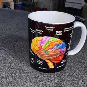 Anatomy Science Biology Brain Diagram Ceramic Coffee Mug Cup
